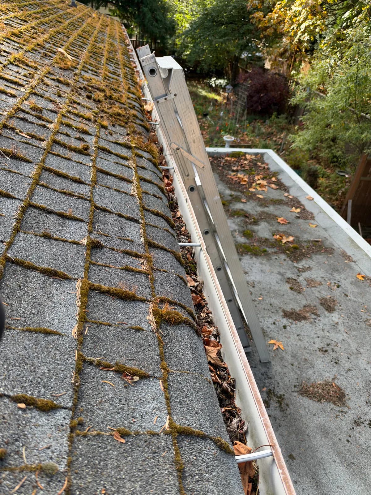 Leaves and debris filling the gutter beside a ladder before cleaning.