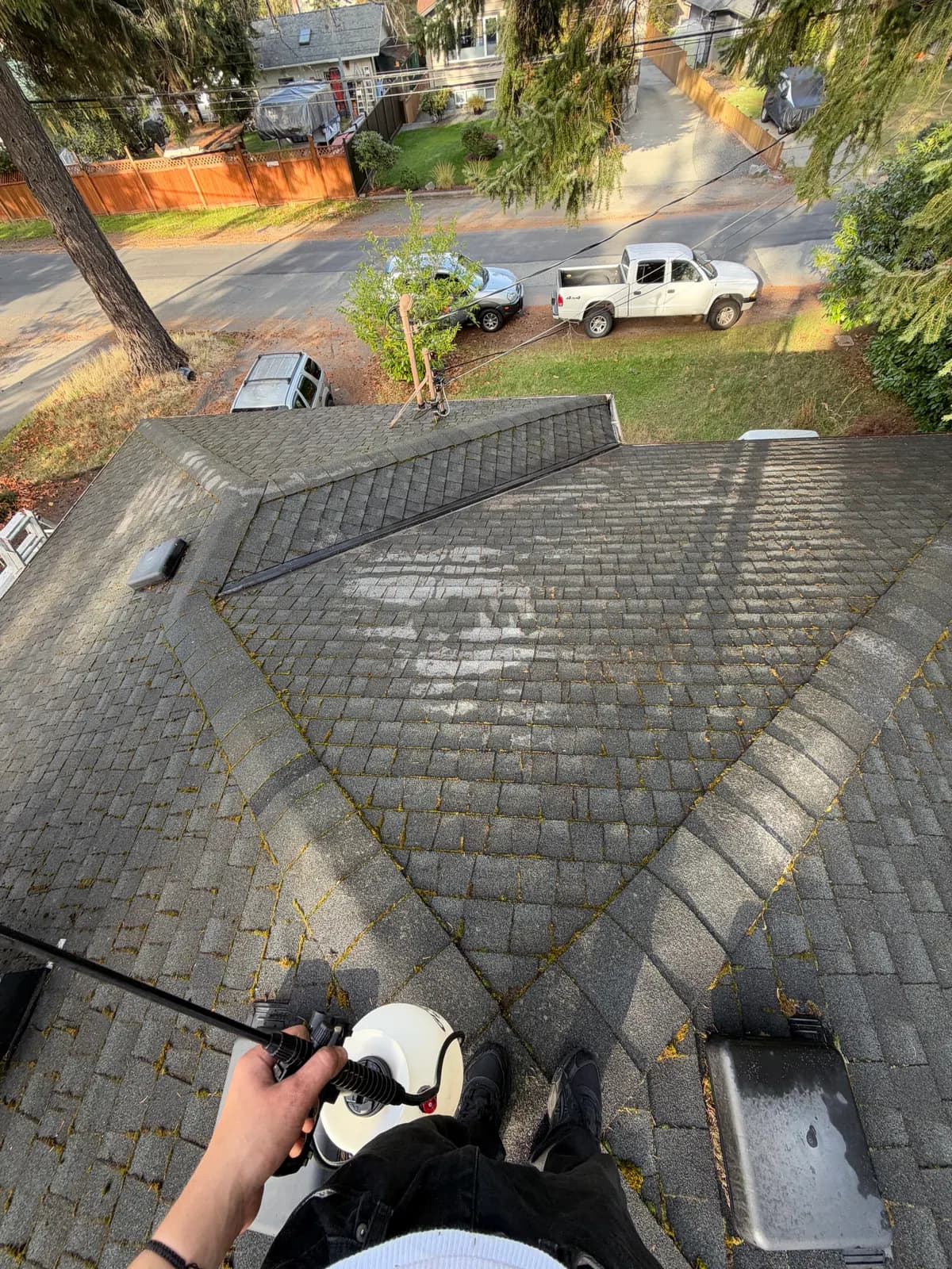 The same roof following moss removal, photographed from higher up.