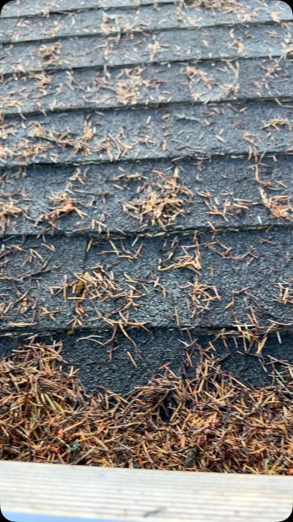 A roof and gutter project featured in a GES Instagram reel